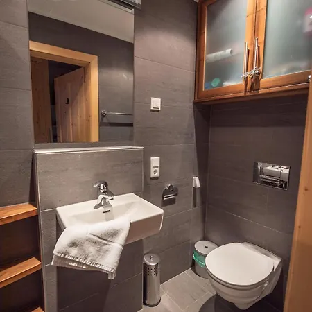 Duxeranger B 2 Apartment Krimml